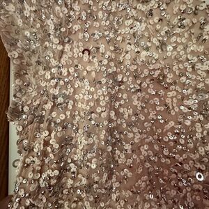 Adrianna Papell Sequin Embellished Dress in Blush